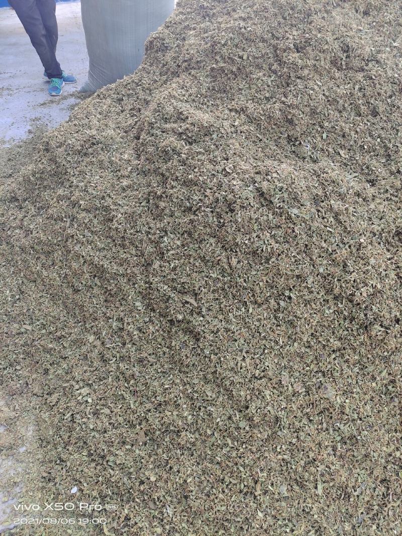 金银花叶子头子，大量上市中，欢迎客商来电咨询量大从优