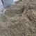 金银花叶子头子，大量上市中，欢迎客商来电咨询量大从优