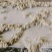 艾绒精品陈年艾绒厂家直销长年供货艾条艾柱等艾草类产品