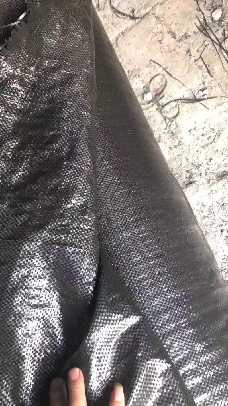 防草布pe100克除草布果园盖草布厂家