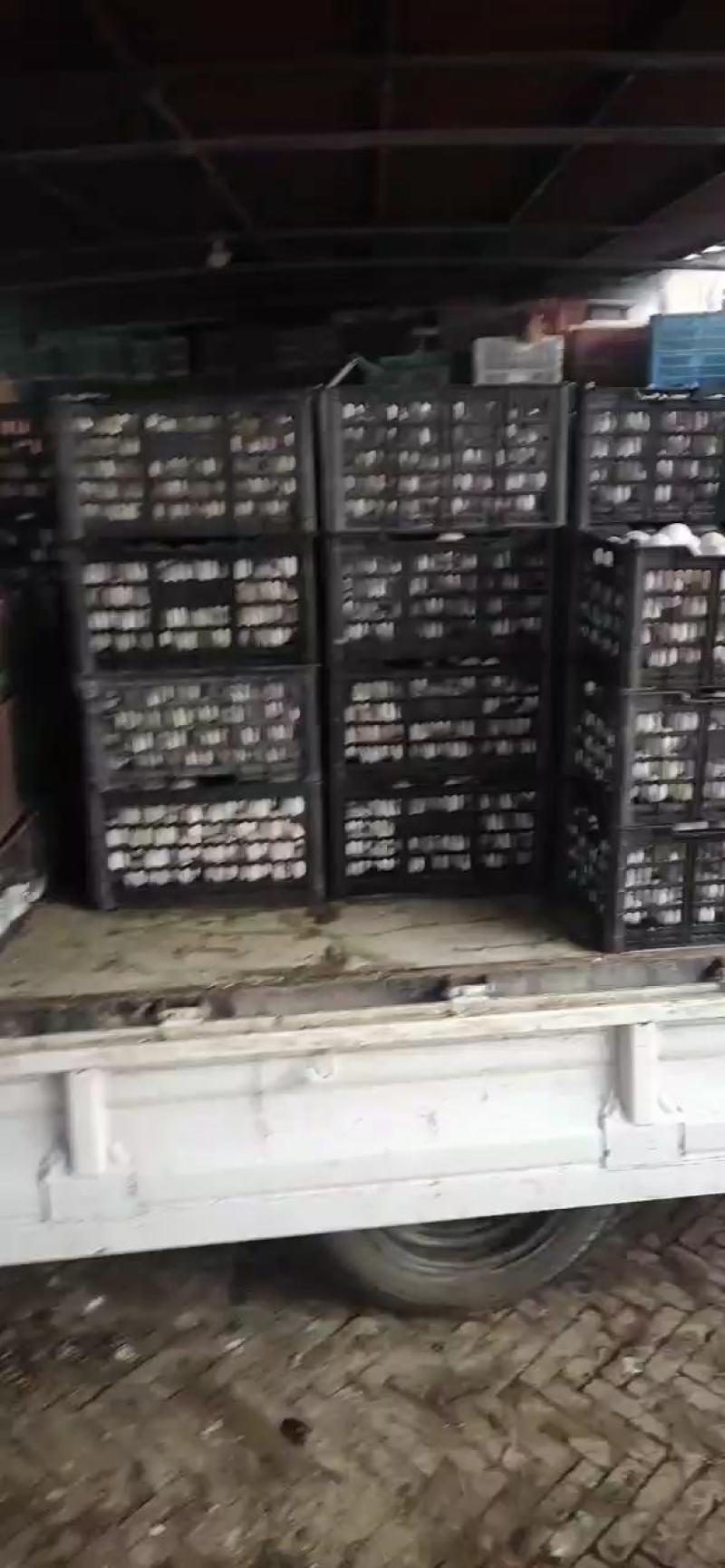 裂纹鸭蛋，鲜蛋裂纹，裂纹蛋白鸭蛋，量大从优，货真价实