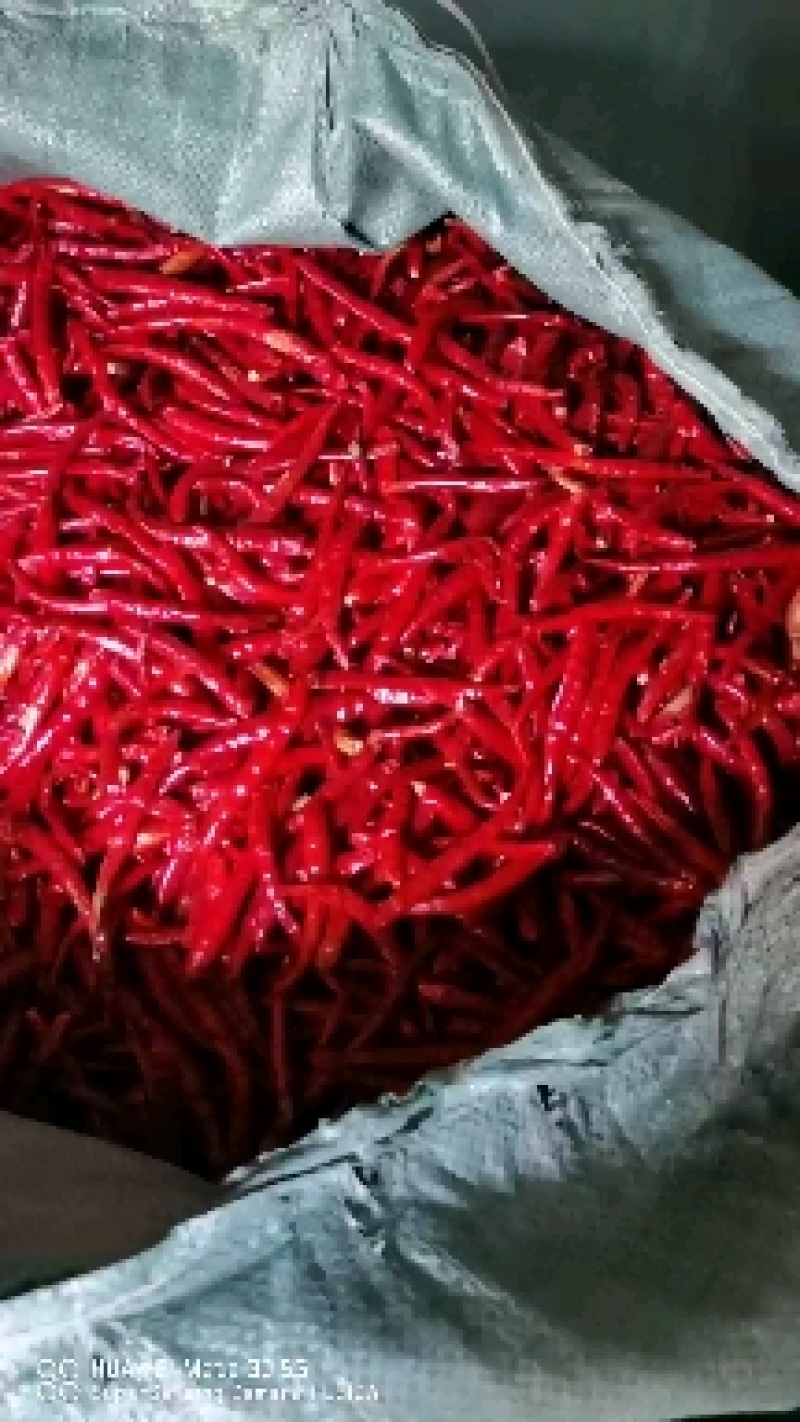 云南丘北精品干辣椒、图片看货、视频看货、现场看货，产地发