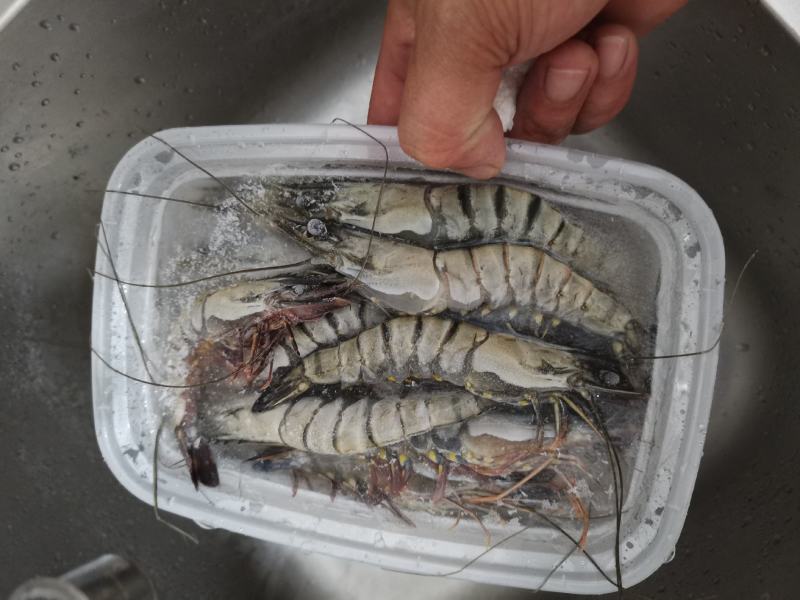 黑虎虾，海水黑虎虾，肉多多，满足大口吃肉，虾中贵族