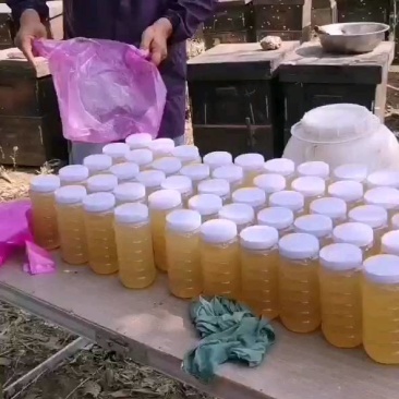 健康管理师