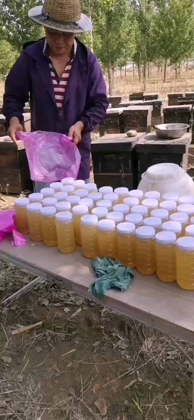 健康管理师