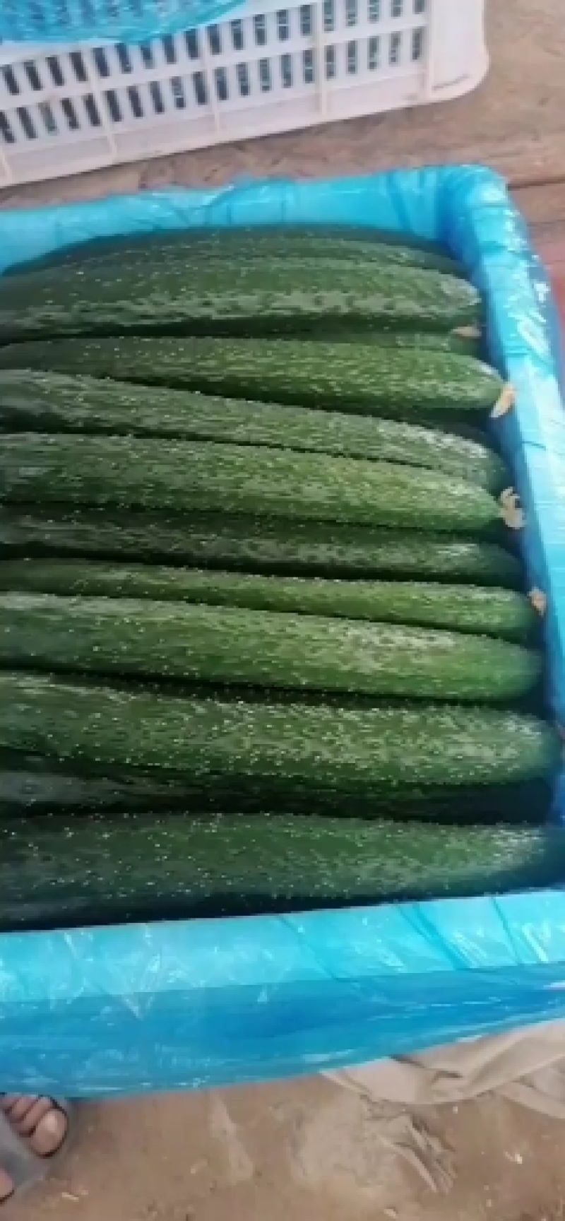精品黄瓜