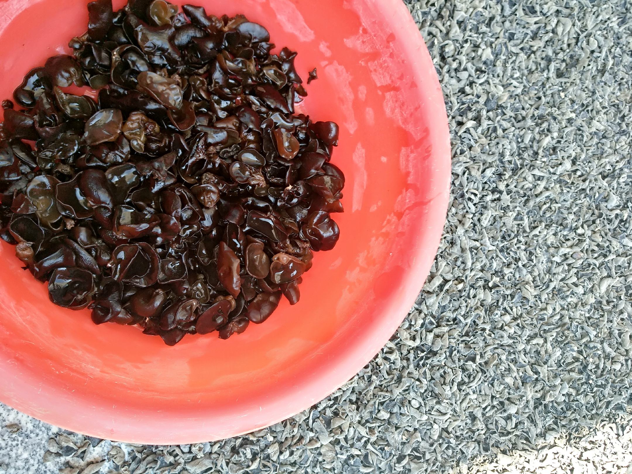 干黑木耳的正确储存方式