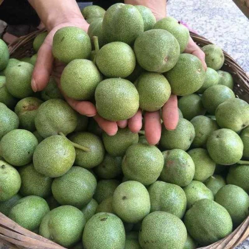 大荔县万亩青皮香玲核桃基地直发火热预售中(代办、代发)