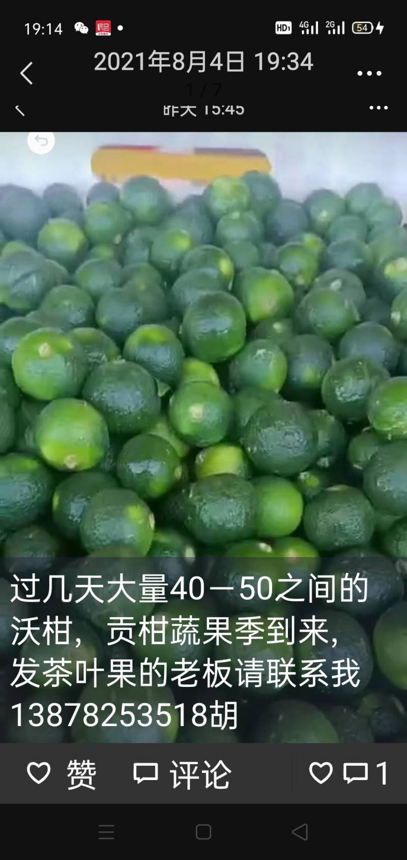 40～50茶叶果，小青柑，产地直销，欢迎全国各地客户合作