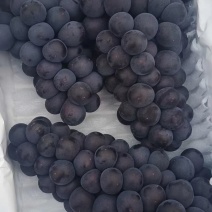 河北卢龙套袋京亚葡萄果粉好颜色全黑货源充足，