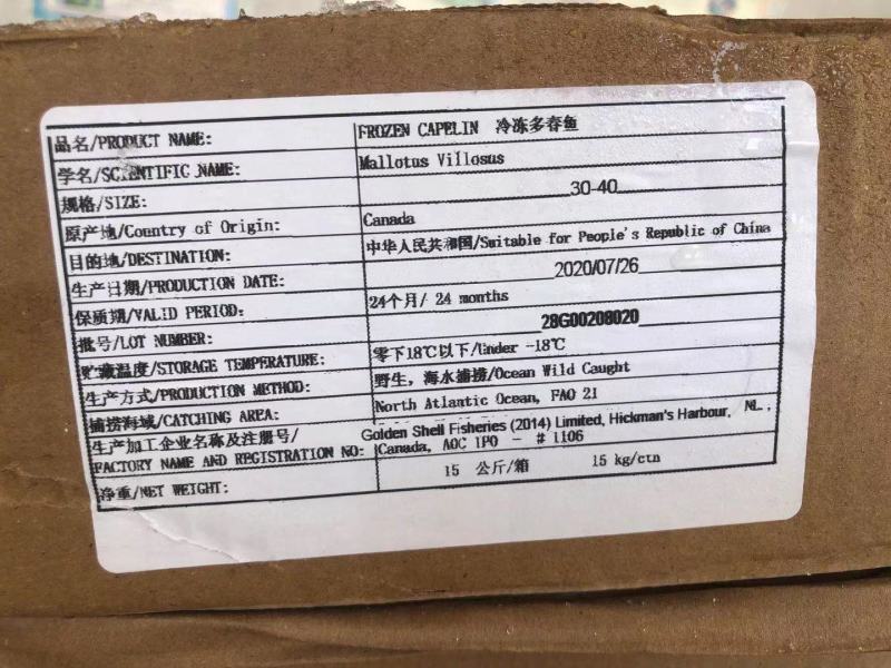 加拿大多春鱼公体