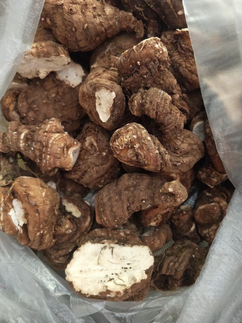 云南滇重楼质量保证自产自销