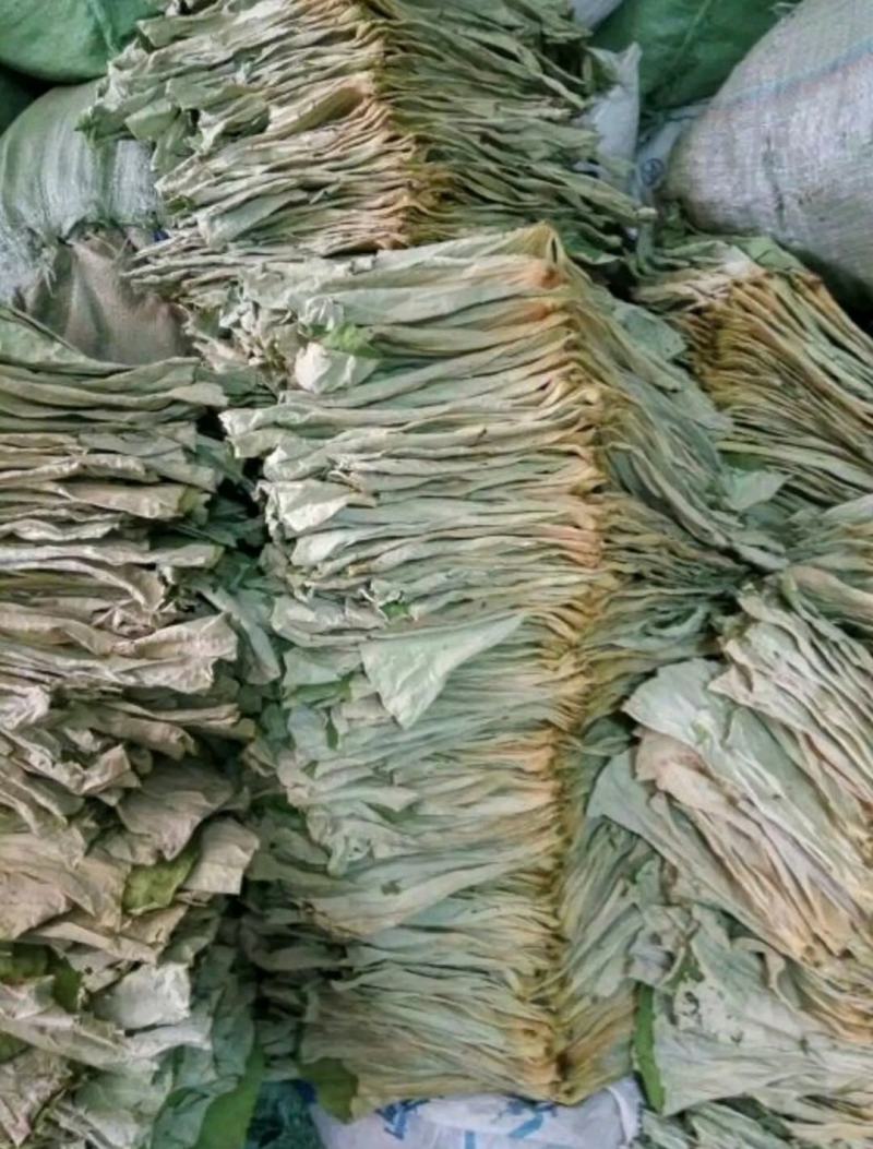 荷叶，干荷叶