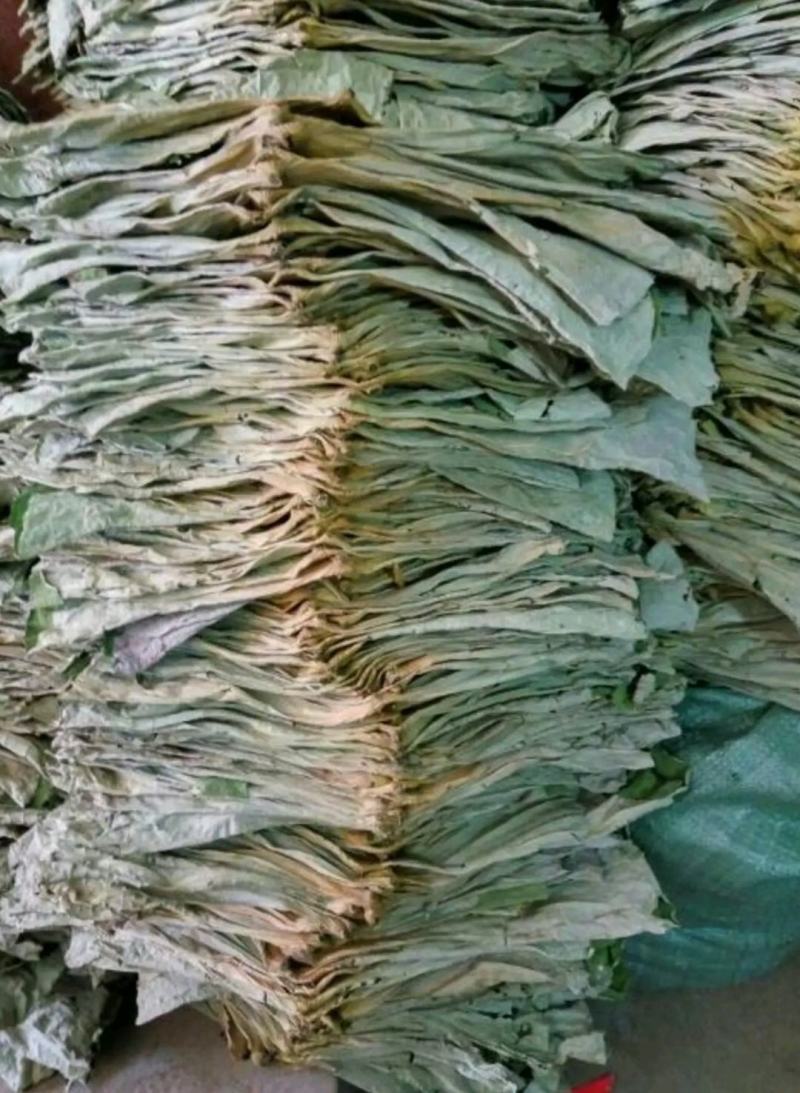 荷叶，干荷叶