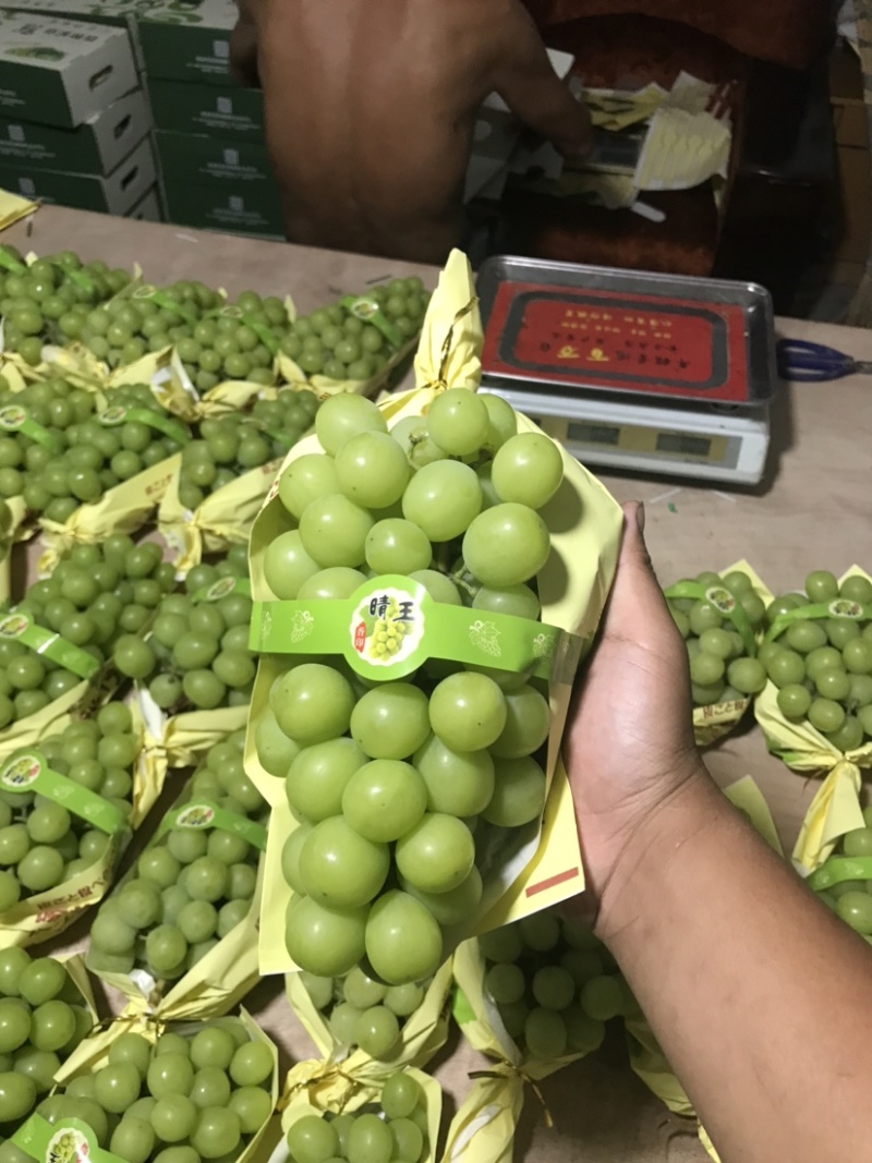 阳光玫瑰，浙江慈溪市杭州湾晴王葡萄新鲜上市，欢迎致电采购