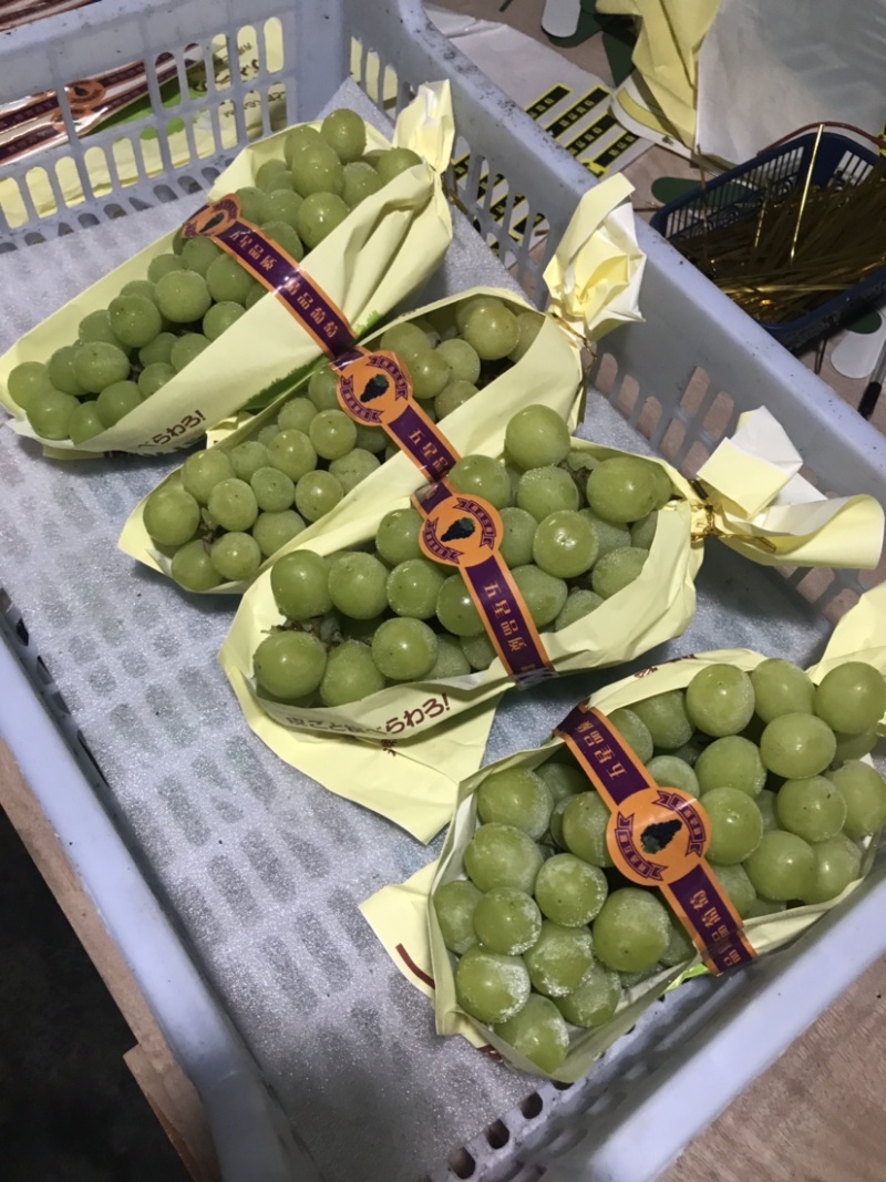 阳光玫瑰，浙江慈溪市杭州湾晴王葡萄新鲜上市，欢迎致电采购
