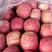 正宗山区红富士苹果产地代收代发，保质保量，全国发货