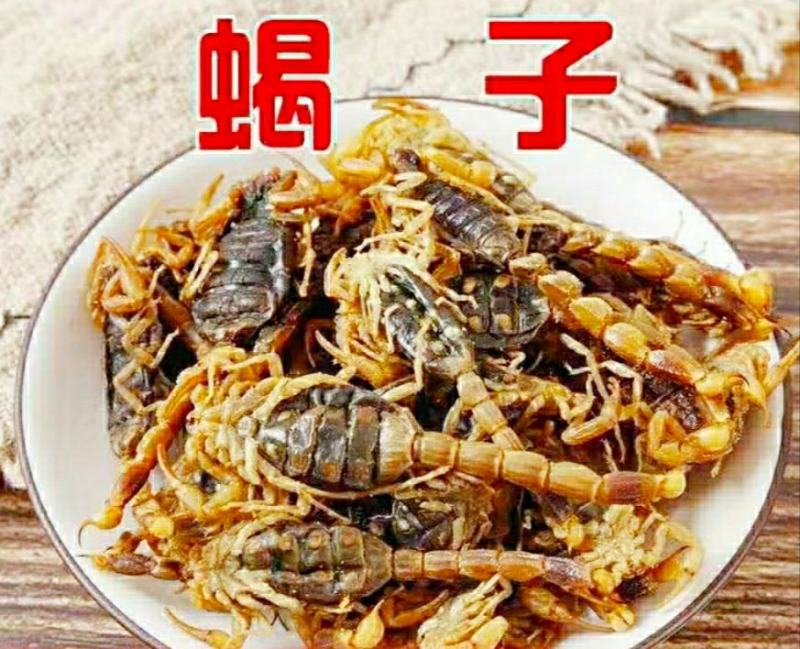 中药材全蝎整条蝎子干货泡酒煲汤营养美味（干品包邮）