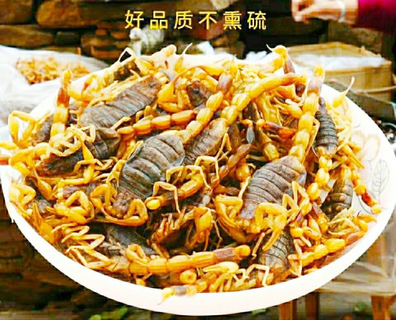 中药材全蝎整条蝎子干货泡酒煲汤营养美味（干品包邮）