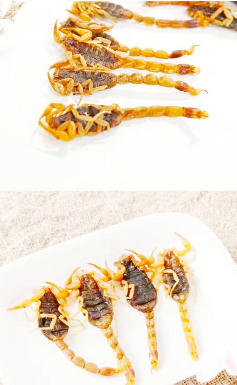 中药材全蝎整条蝎子干货泡酒煲汤营养美味（干品包邮）