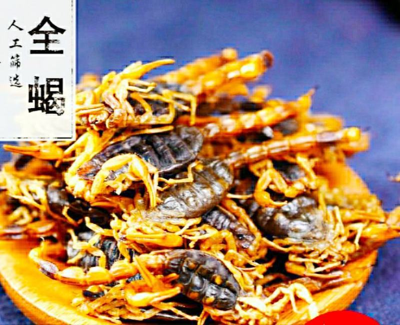 中药材全蝎整条蝎子干货泡酒煲汤营养美味（干品包邮）