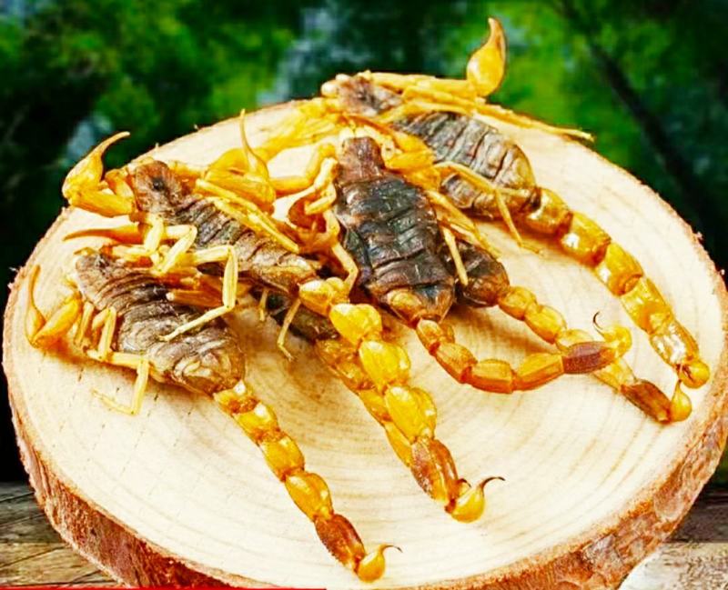 中药材全蝎整条蝎子干货泡酒煲汤营养美味（干品包邮）