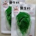 原包装享丰牌强生65大白菜种子耐热耐湿高产净含量10克/