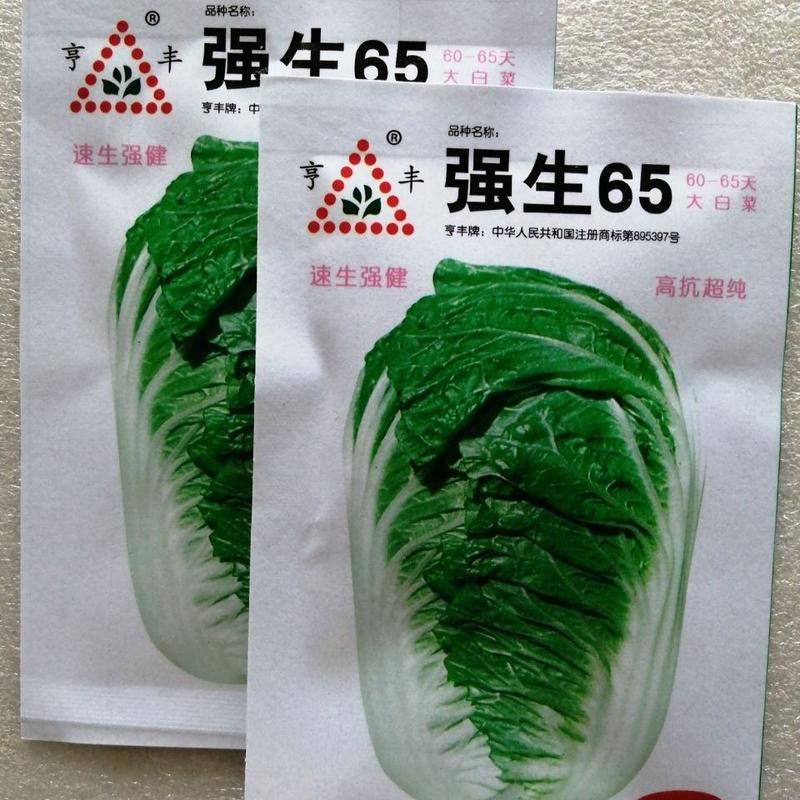 原包装享丰牌强生65大白菜种子耐热耐湿高产净含量10克/