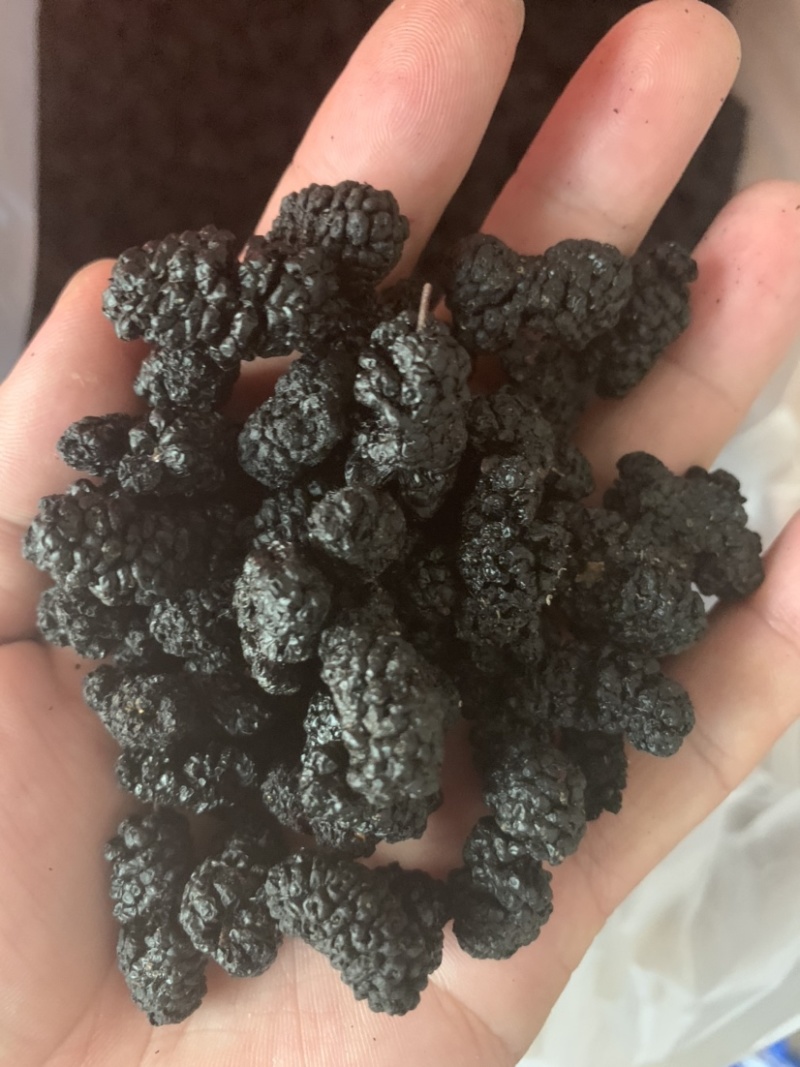 产地直销桑葚量大价格从优质量佳