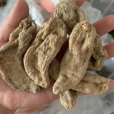 天麻个代打粉产地直销质量优价格低