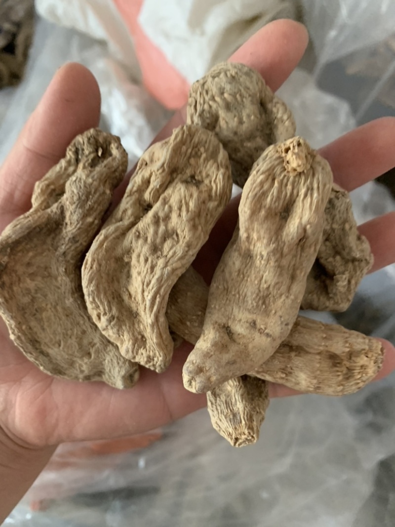 天麻个代打粉产地直销质量优价格低