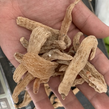 天麻小个可代打粉产地直销质量优价格低