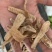 天麻小个可代打粉产地直销质量优价格低