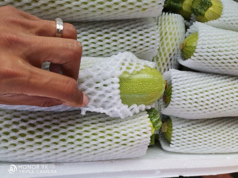 精品西葫芦绿皮西葫芦供商超物美价廉货品优等