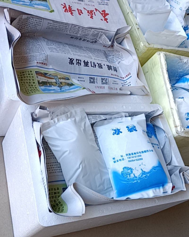 甘肃民勤特产沙葱，保鲜发货，货源稳定，现采发货