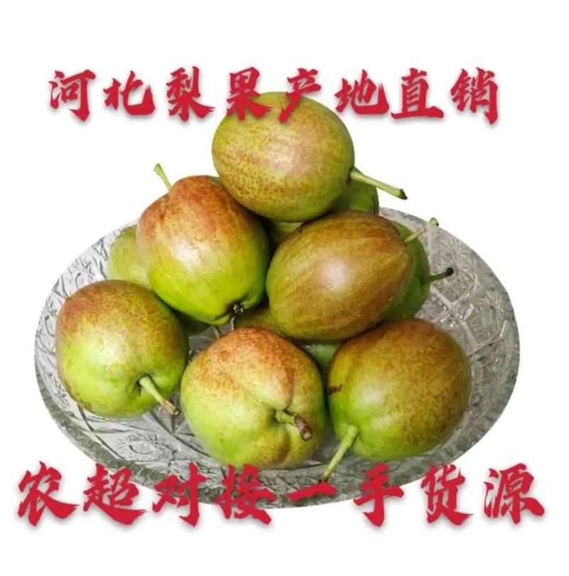 梨。新梨7号