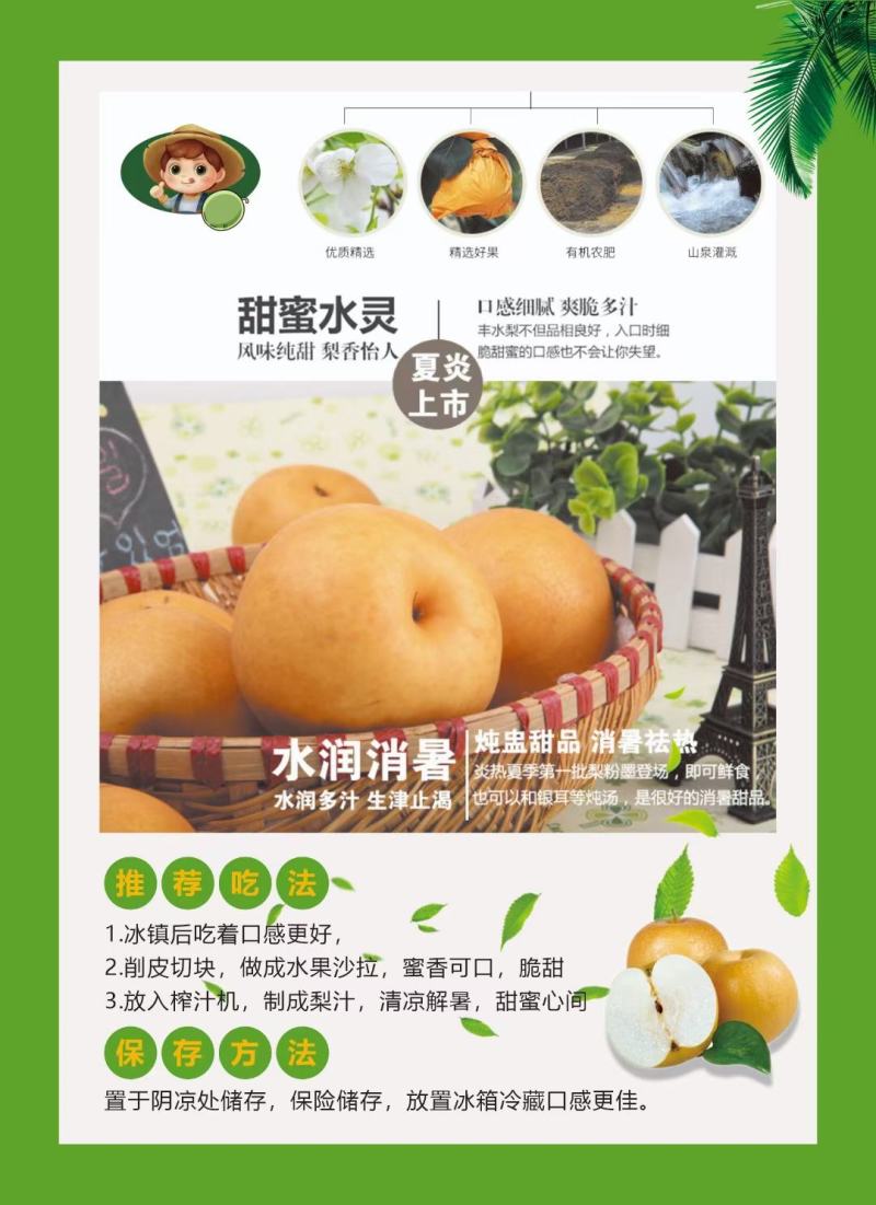 山东冠县丰水梨礼盒5斤装包邮甜梨，产地对接