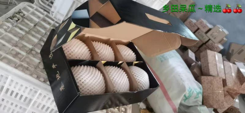 山东冠县丰水梨礼盒5斤装包邮甜梨，产地对接