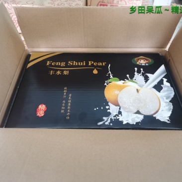 山东冠县丰水梨礼盒5斤装包邮甜梨，产地对接