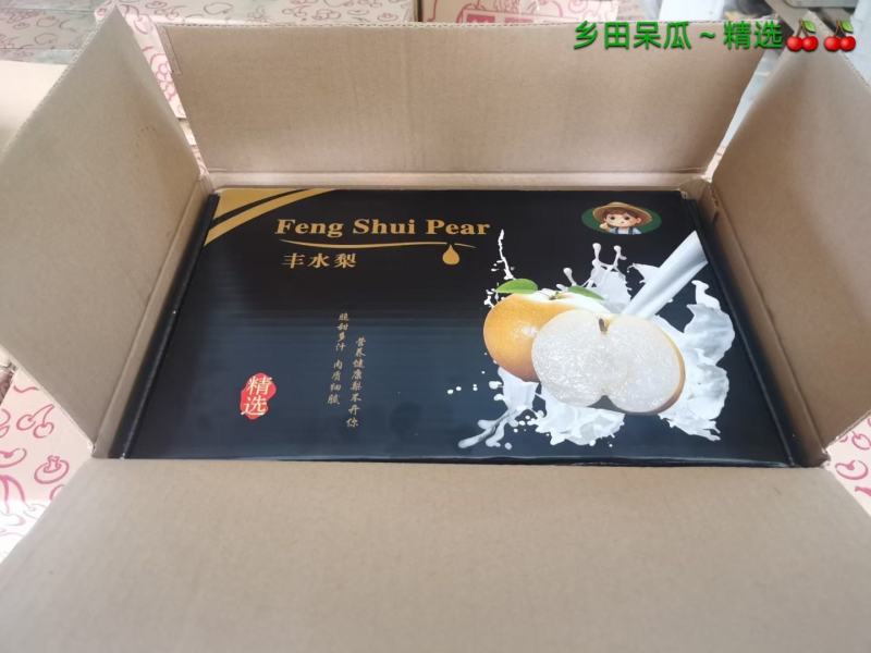 山东冠县丰水梨礼盒5斤装包邮甜梨，产地对接