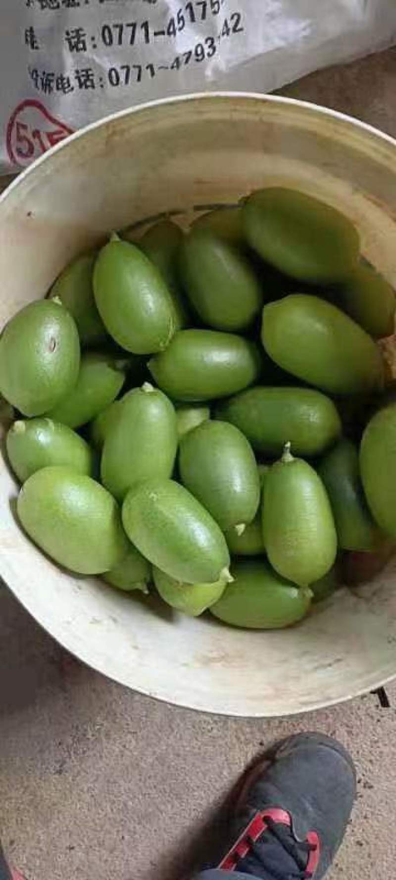 香水柠檬
