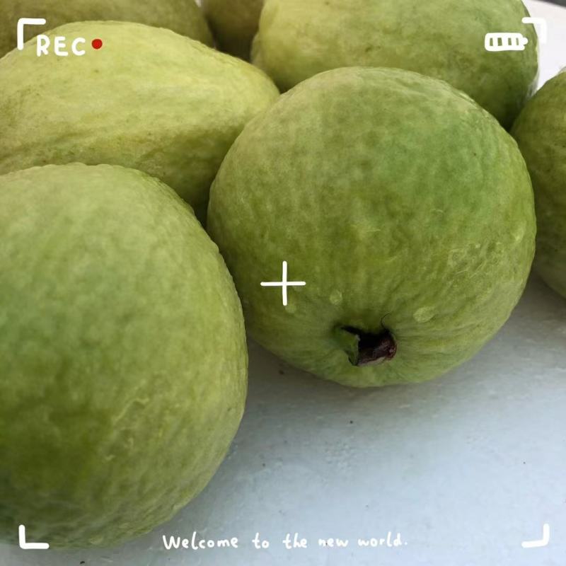 白心，红心芭乐