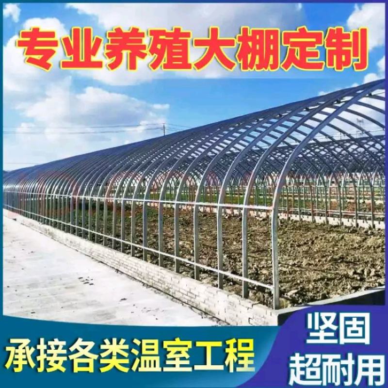 养殖大棚包塑椭圆管养羊棚养鸡棚包建全国发货