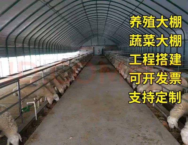 养殖大棚包塑椭圆管养羊棚养鸡棚包建全国发货