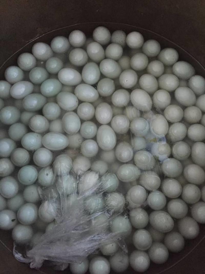 辽宁省丹东市鸭绿江边散养笨鸭蛋，有生的，熟的，咸的，鲜的