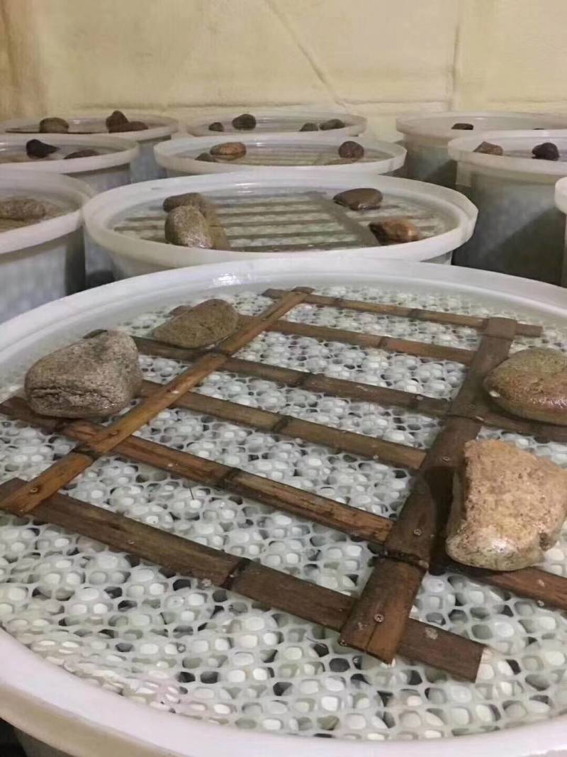 辽宁省丹东市鸭绿江边散养笨鸭蛋，有生的，熟的，咸的，鲜的