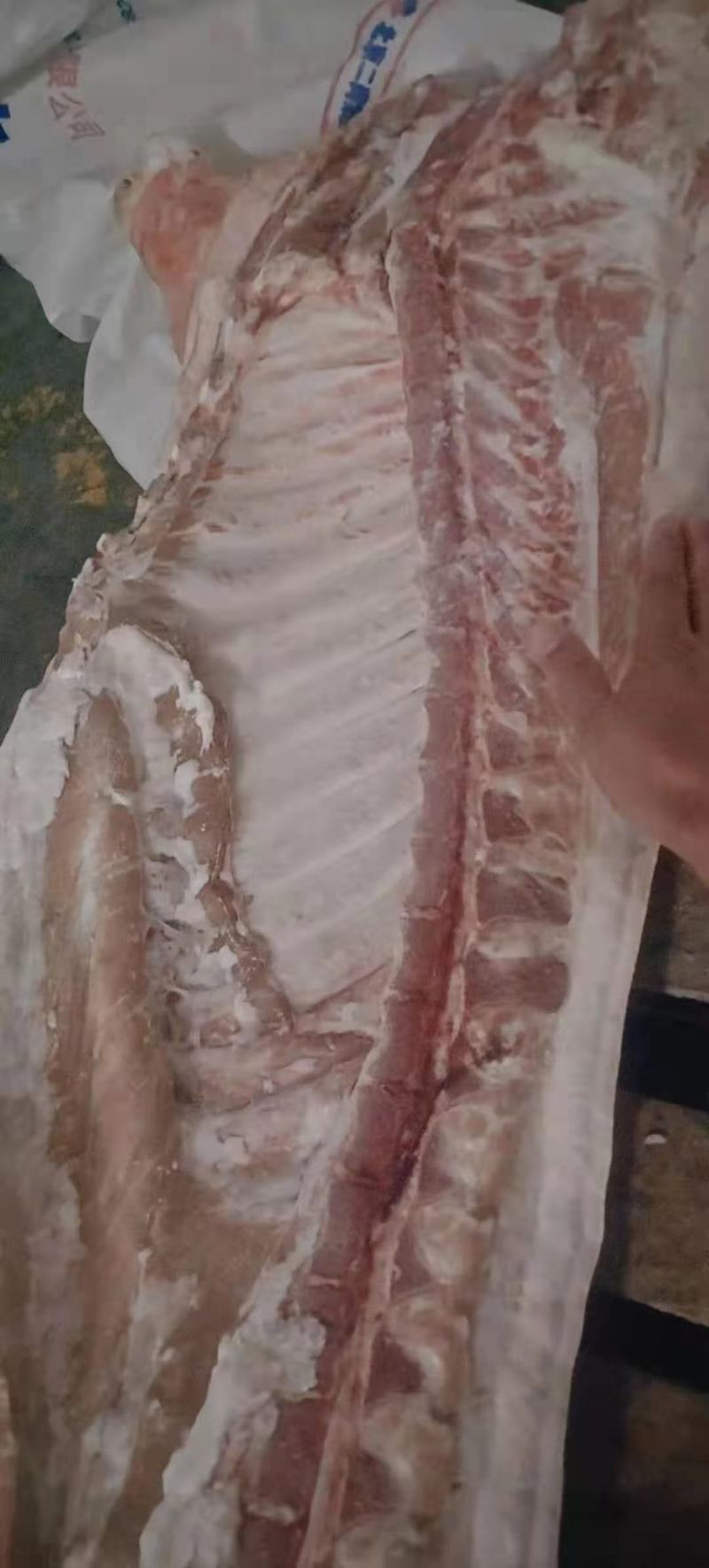 肥猪白条，手续齐全