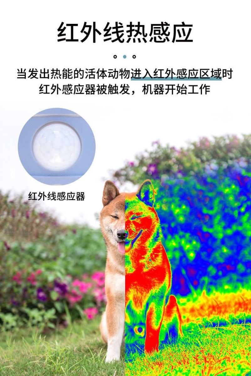 太阳能超声波驱鸟器果园专用户外赶防鸟驱鼠农田鱼塘吓鸟驱鸟
