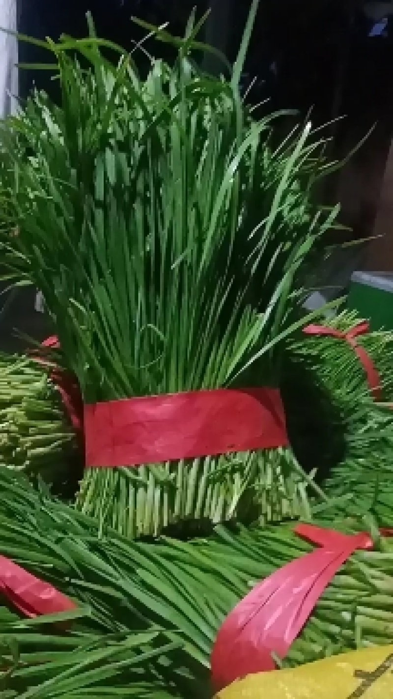 韭菜