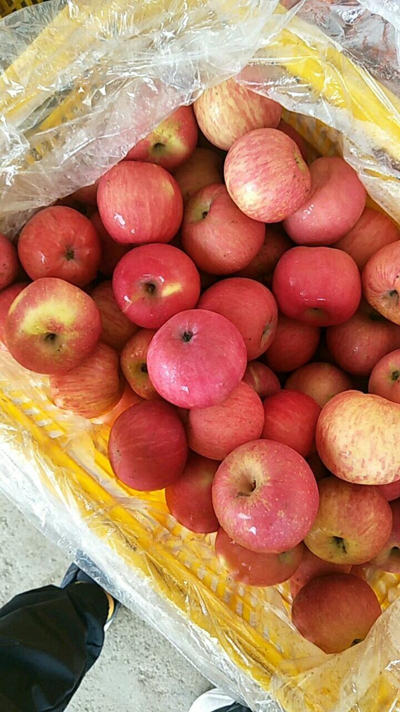 美八苹果红露苹果等品种多价格美丽一手货源